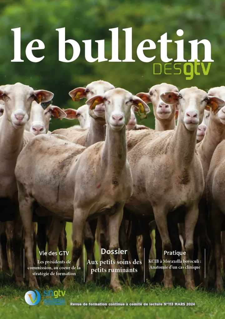 Bulletin n°113