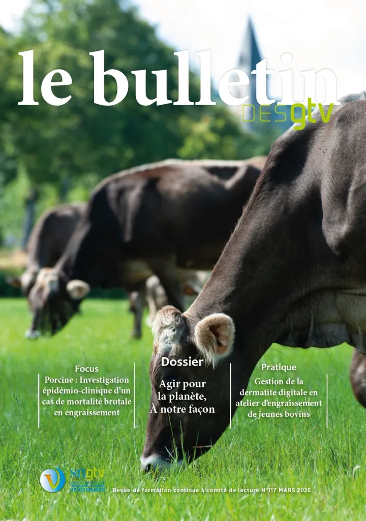 Bulletin n°117
