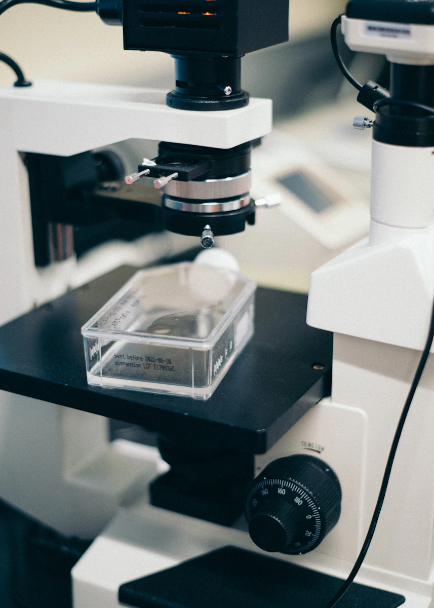 Photo d’illustration : culture cellulaire observée au microscope