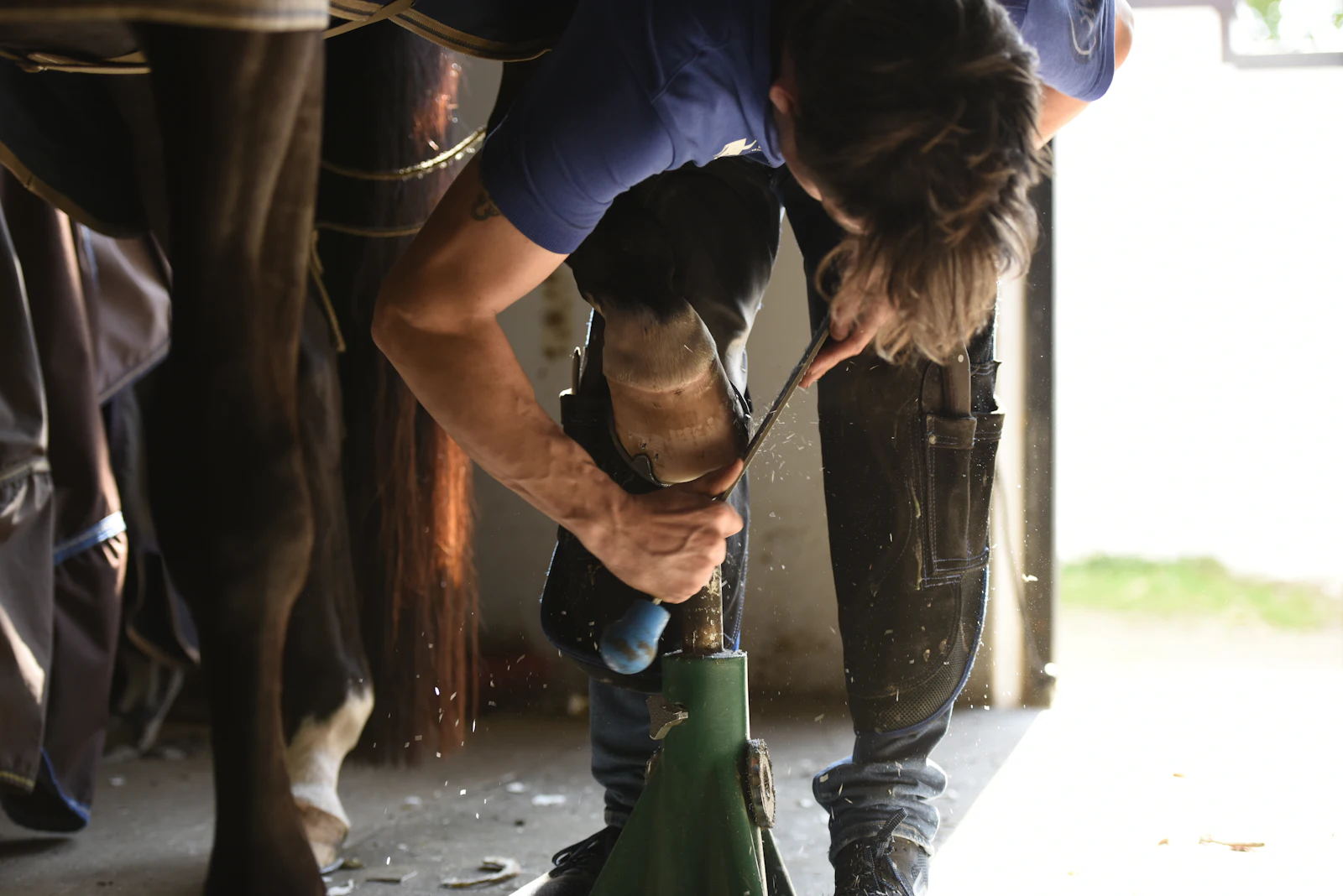 Photo d’illustration : parage d’un sabot de cheval