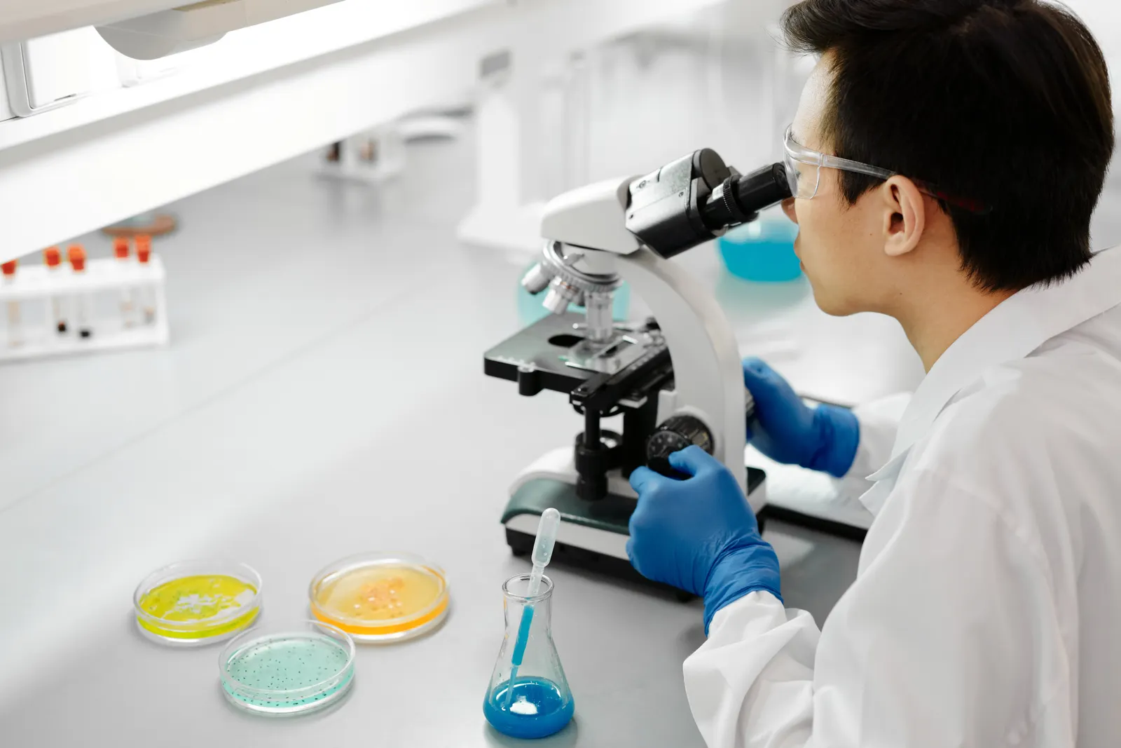 Photo d’illustration : observation au microscope en laboratoire